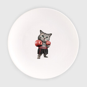 Тарелка с принтом Кот боксёр в Белгороде, фарфор | диаметр - 210 мм
диаметр для нанесения принта - 120 мм | Тематика изображения на принте: боец | бокс | боксёр | кот | котёнок | кошак | кошка | кулак | спорт | шорты