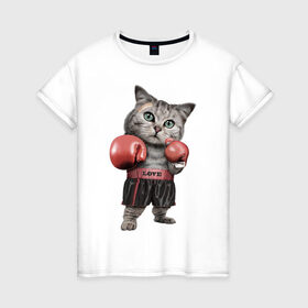 Женская футболка хлопок с принтом Кот боксёр в Белгороде, 100% хлопок | прямой крой, круглый вырез горловины, длина до линии бедер, слегка спущенное плечо | Тематика изображения на принте: боец | бокс | боксёр | кот | котёнок | кошак | кошка | кулак | спорт | шорты