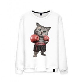 Мужской свитшот хлопок с принтом Кот боксёр в Белгороде, 100% хлопок |  | Тематика изображения на принте: боец | бокс | боксёр | кот | котёнок | кошак | кошка | кулак | спорт | шорты