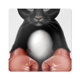 Магнит виниловый Квадрат с принтом Котёнок боксёр в Белгороде, полимерный материал с магнитным слоем | размер 9*9 см, закругленные углы | боец | бокс | боксёр | кот | котёнок | кошак | кошка | кулак | спорт | шорты