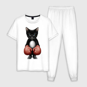 Мужская пижама хлопок с принтом Котёнок боксёр в Белгороде, 100% хлопок | брюки и футболка прямого кроя, без карманов, на брюках мягкая резинка на поясе и по низу штанин
 | Тематика изображения на принте: боец | бокс | боксёр | кот | котёнок | кошак | кошка | кулак | спорт | шорты