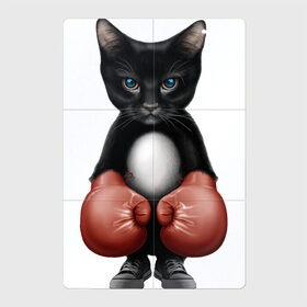 Магнитный плакат 2Х3 с принтом Котёнок боксёр в Белгороде, Полимерный материал с магнитным слоем | 6 деталей размером 9*9 см | боец | бокс | боксёр | кот | котёнок | кошак | кошка | кулак | спорт | шорты