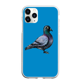 Чехол для iPhone 11 Pro матовый с принтом Голубь в Белгороде, Силикон |  | bird | birds | dove | doves | fly | wing | wings | голуби | голубь | клюв | когти | крыло | крылышки | крылья | полет | птица | птицы | птичка | птички