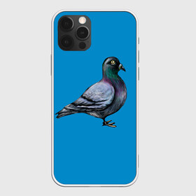 Чехол для iPhone 12 Pro Max с принтом Голубь в Белгороде, Силикон |  | bird | birds | dove | doves | fly | wing | wings | голуби | голубь | клюв | когти | крыло | крылышки | крылья | полет | птица | птицы | птичка | птички