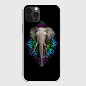 Чехол для iPhone 12 Pro Max с принтом Индийский Слон в Белгороде, Силикон |  | Тематика изображения на принте: africa | elephant | elephants | india | ornament | pattern | skin | tusks | африка | бивни | индия | кожа | орнамент | слон | слоненок | слоник | слоники | слоны | слонята | узор | хобот