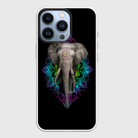 Чехол для iPhone 13 Pro с принтом Индийский Слон в Белгороде,  |  | africa | elephant | elephants | india | ornament | pattern | skin | tusks | африка | бивни | индия | кожа | орнамент | слон | слоненок | слоник | слоники | слоны | слонята | узор | хобот