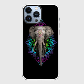 Чехол для iPhone 13 Pro Max с принтом Индийский Слон в Белгороде,  |  | africa | elephant | elephants | india | ornament | pattern | skin | tusks | африка | бивни | индия | кожа | орнамент | слон | слоненок | слоник | слоники | слоны | слонята | узор | хобот