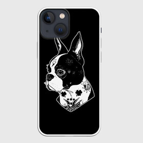 Чехол для iPhone 13 mini с принтом Французский Бульдог в Белгороде,  |  | bulldog | dog | dogs | franch | бульдог | пес | псы | собака | собакен | собаки | собачка | собачки | французский | щенки | щенок | щеночек | щеночки