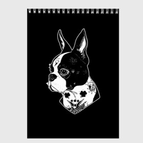 Скетчбук с принтом Французский Бульдог в Белгороде, 100% бумага
 | 48 листов, плотность листов — 100 г/м2, плотность картонной обложки — 250 г/м2. Листы скреплены сверху удобной пружинной спиралью | Тематика изображения на принте: bulldog | dog | dogs | franch | бульдог | пес | псы | собака | собакен | собаки | собачка | собачки | французский | щенки | щенок | щеночек | щеночки