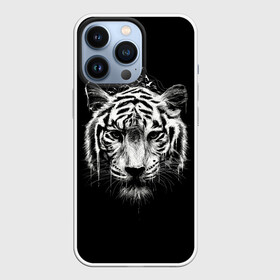 Чехол для iPhone 13 Pro с принтом Dark Tiger в Белгороде,  |  | Тематика изображения на принте: africa | creepy | dark | desert | predator | scary | tiger | tigers | африка | жуткий | мрачный | пустыня | страшный | тигр | тигренок | тигрица | тигрицы | тигры | тигрята | хищник