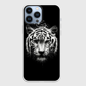 Чехол для iPhone 13 Pro Max с принтом Dark Tiger в Белгороде,  |  | africa | creepy | dark | desert | predator | scary | tiger | tigers | африка | жуткий | мрачный | пустыня | страшный | тигр | тигренок | тигрица | тигрицы | тигры | тигрята | хищник