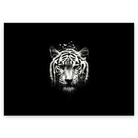 Поздравительная открытка с принтом Dark Tiger в Белгороде, 100% бумага | плотность бумаги 280 г/м2, матовая, на обратной стороне линовка и место для марки
 | Тематика изображения на принте: africa | creepy | dark | desert | predator | scary | tiger | tigers | африка | жуткий | мрачный | пустыня | страшный | тигр | тигренок | тигрица | тигрицы | тигры | тигрята | хищник