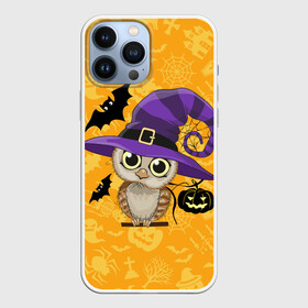 Чехол для iPhone 13 Pro Max с принтом Совушка и хэллоуин в Белгороде,  |  | Тематика изображения на принте: halloween | летучая мышь | подарок на хэллоуин | прикольная сова | сова | сова и хэллоуин | совушка | тыква | тыква на хэллоуин | хэллоуин