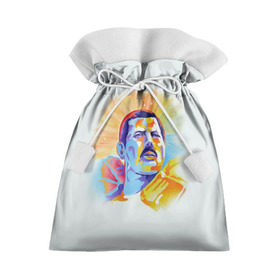 Подарочный 3D мешок с принтом Freddie Mercury в Белгороде, 100% полиэстер | Размер: 29*39 см | Тематика изображения на принте: freddie mercury | queen | фредди меркьюри