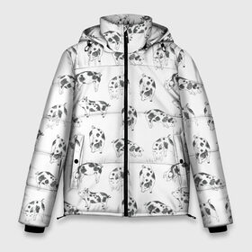 Мужская зимняя куртка 3D с принтом Поросята в Белгороде, верх — 100% полиэстер; подкладка — 100% полиэстер; утеплитель — 100% полиэстер | длина ниже бедра, свободный силуэт Оверсайз. Есть воротник-стойка, отстегивающийся капюшон и ветрозащитная планка. 

Боковые карманы с листочкой на кнопках и внутренний карман на молнии. | 2019 | год | праздник | свинья