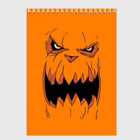Скетчбук с принтом Halloween в Белгороде, 100% бумага
 | 48 листов, плотность листов — 100 г/м2, плотность картонной обложки — 250 г/м2. Листы скреплены сверху удобной пружинной спиралью | Тематика изображения на принте: halloween | orange | pumpkin | scary | оранжевая | страшная | тыква | ужас | хэллоуин