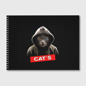 Альбом для рисования с принтом Кот в Белгороде, 100% бумага
 | матовая бумага, плотность 200 мг. | cat | глаза | животные | капюшон | кот | котенок | кошка | природа | хулиган