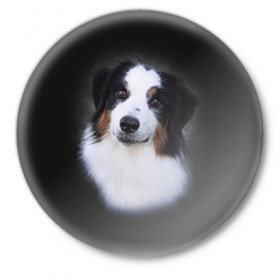 Значок с принтом Собака в Белгороде,  металл | круглая форма, металлическая застежка в виде булавки | Тематика изображения на принте: голова | животные | мордочка | пес | природа | собака | щенок