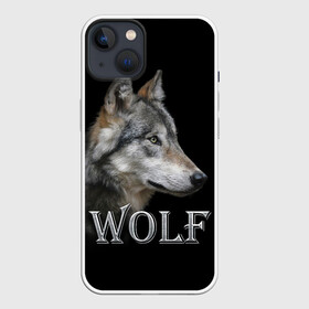 Чехол для iPhone 13 с принтом Wolf в Белгороде,  |  | волк | животные | мордочка | пес | природа | собака | хищник