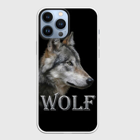 Чехол для iPhone 13 Pro Max с принтом Wolf в Белгороде,  |  | волк | животные | мордочка | пес | природа | собака | хищник