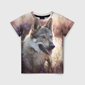 Детская футболка 3D с принтом Волк в Белгороде, 100% гипоаллергенный полиэфир | прямой крой, круглый вырез горловины, длина до линии бедер, чуть спущенное плечо, ткань немного тянется | dog | взгляд | волк | лайка | собака | хаски