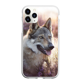 Чехол для iPhone 11 Pro матовый с принтом Волк в Белгороде, Силикон |  | dog | взгляд | волк | лайка | собака | хаски
