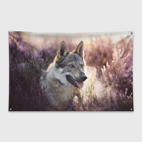 Флаг-баннер с принтом Волк в Белгороде, 100% полиэстер | размер 67 х 109 см, плотность ткани — 95 г/м2; по краям флага есть четыре люверса для крепления | dog | взгляд | волк | лайка | собака | хаски