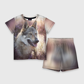 Детский костюм с шортами 3D с принтом Волк в Белгороде,  |  | dog | взгляд | волк | лайка | собака | хаски
