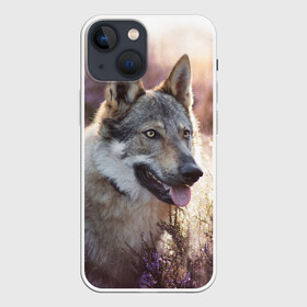 Чехол для iPhone 13 mini с принтом Волк в Белгороде,  |  | dog | взгляд | волк | лайка | собака | хаски