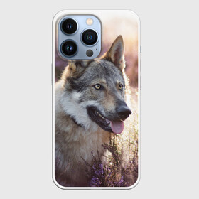 Чехол для iPhone 13 Pro с принтом Волк в Белгороде,  |  | dog | взгляд | волк | лайка | собака | хаски