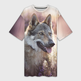 Платье-футболка 3D с принтом Волк в Белгороде,  |  | dog | взгляд | волк | лайка | собака | хаски