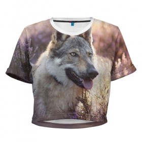 Женская футболка Cropp-top с принтом Волк в Белгороде, 100% полиэстер | круглая горловина, длина футболки до линии талии, рукава с отворотами | dog | взгляд | волк | лайка | собака | хаски
