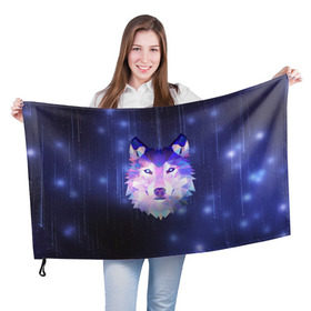 Флаг 3D с принтом Космический Волк в Белгороде, 100% полиэстер | плотность ткани — 95 г/м2, размер — 67 х 109 см. Принт наносится с одной стороны | poligon | space | star | stars | werewolf | wild | wolf | wolfs | волк | волки | волчата | волченок | волчица | вселенная | дикий | звезда | звезды | космический | космос | луна | оборотень | падающие | полигон | полигоны