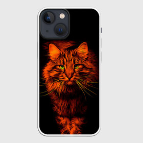 Чехол для iPhone 13 mini с принтом Рыжий кот в Белгороде,  |  | cat | кот | котик | кошка | рыжая | рыжий