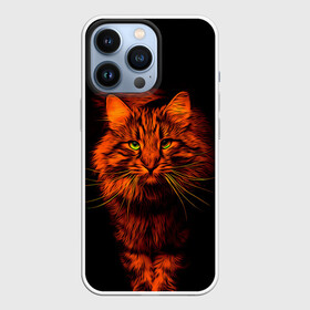 Чехол для iPhone 13 Pro с принтом Рыжий кот в Белгороде,  |  | cat | кот | котик | кошка | рыжая | рыжий