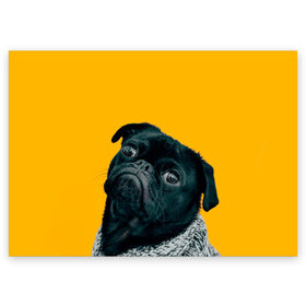 Поздравительная открытка с принтом Бульдожка в Белгороде, 100% бумага | плотность бумаги 280 г/м2, матовая, на обратной стороне линовка и место для марки
 | бульдог | паг | пес | собака | черный