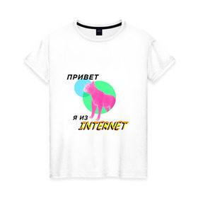 Женская футболка хлопок с принтом Привет я из internet в Белгороде, 100% хлопок | прямой крой, круглый вырез горловины, длина до линии бедер, слегка спущенное плечо | internet | интернет | кот | мем | мемы про котов | надпись | прикол