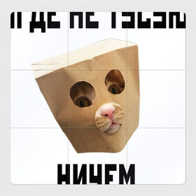 Магнитный плакат 3Х3 с принтом Нигде не тусуюсь в Белгороде, Полимерный материал с магнитным слоем | 9 деталей размером 9*9 см | Тематика изображения на принте: кот | мем | надпись | прикол | хикка | хиккикомори