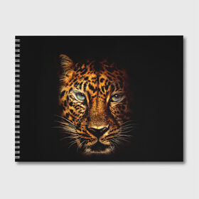 Альбом для рисования с принтом Ягуар в Белгороде, 100% бумага
 | матовая бумага, плотность 200 мг. | гепард | кошка | леопард | охотник | тигр | хищник | ягуар