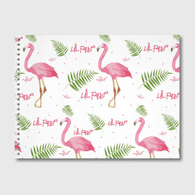 Альбом для рисования с принтом Lil Peep pink flamingo в Белгороде, 100% бумага
 | матовая бумага, плотность 200 мг. | benz truck | girls. pink | gustav hr | hip hop | lil | lil peep | peep | rap | лил | лилпип | листья | пальма | пальмы | пип | розовый | рэп | фламинго | хип хоп | эмо | эмо реп