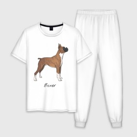 Мужская пижама хлопок с принтом Немецкий Боксер в Белгороде, 100% хлопок | брюки и футболка прямого кроя, без карманов, на брюках мягкая резинка на поясе и по низу штанин
 | boxer | dog | боксёр | собака | собака боксер | собаки