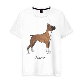 Мужская футболка хлопок с принтом Немецкий Боксер в Белгороде, 100% хлопок | прямой крой, круглый вырез горловины, длина до линии бедер, слегка спущенное плечо. | boxer | dog | боксёр | собака | собака боксер | собаки