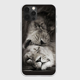 Чехол для iPhone 12 Pro Max с принтом Лев и львица в Белгороде, Силикон |  | Тематика изображения на принте: животные | кот | кошка | лев | львица | оскал | природа | рык | рычит | хищник