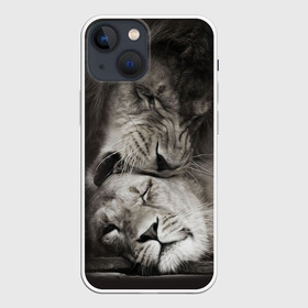 Чехол для iPhone 13 mini с принтом Лев и львица в Белгороде,  |  | животные | кот | кошка | лев | львица | оскал | природа | рык | рычит | хищник
