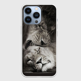 Чехол для iPhone 13 Pro с принтом Лев и львица в Белгороде,  |  | животные | кот | кошка | лев | львица | оскал | природа | рык | рычит | хищник
