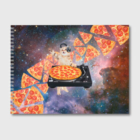 Альбом для рисования с принтом Кот Диджей в Белгороде, 100% бумага
 | матовая бумага, плотность 200 мг. | cat | cosmos | dj | fast | fastfood | food | meme | party | pizza | space | вечеринка | диджей | еда | космос | кошак | кошка | мем | пицца | фастфуд