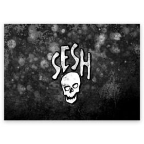 Поздравительная открытка с принтом SESH Team (Bones) в Белгороде, 100% бумага | плотность бумаги 280 г/м2, матовая, на обратной стороне линовка и место для марки
 | bones | boy | dead | deadboy | elmo | hdmi | hip | hop | kennedy | metal | rap | rapper | scream | sesh | seshollowaterboyz | skull | team | кеннеди | кости | костя | метал | рэп | рэпер | сеш | скрим | сэш | хип | хоп | череп | элмо