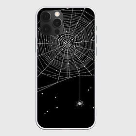 Чехол для iPhone 12 Pro Max с принтом Паутина в Белгороде, Силикон |  | Тематика изображения на принте: вода | день мертвых | дизайнерская | искусство | капли | картинка | круто | лучший | мексика | мода | молодёжная | мрак | насекомое | ночь | паук | паутина | подарок | поздравление | праздник | рисунок