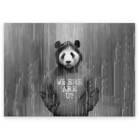 Поздравительная открытка с принтом Панда в Белгороде, 100% бумага | плотность бумаги 280 г/м2, матовая, на обратной стороне линовка и место для марки
 | дождь | животные | капюшон | кофта | медведь | мишка | панда | природа | хипстер