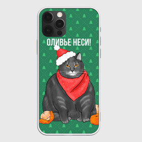 Чехол для iPhone 12 Pro Max с принтом Кот хочет кушот в Белгороде, Силикон |  | кот | кушот | новый год | оливье | толстый кот